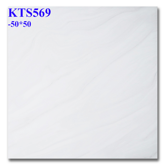 Gạch lát nền 50x50 TP-KTS569