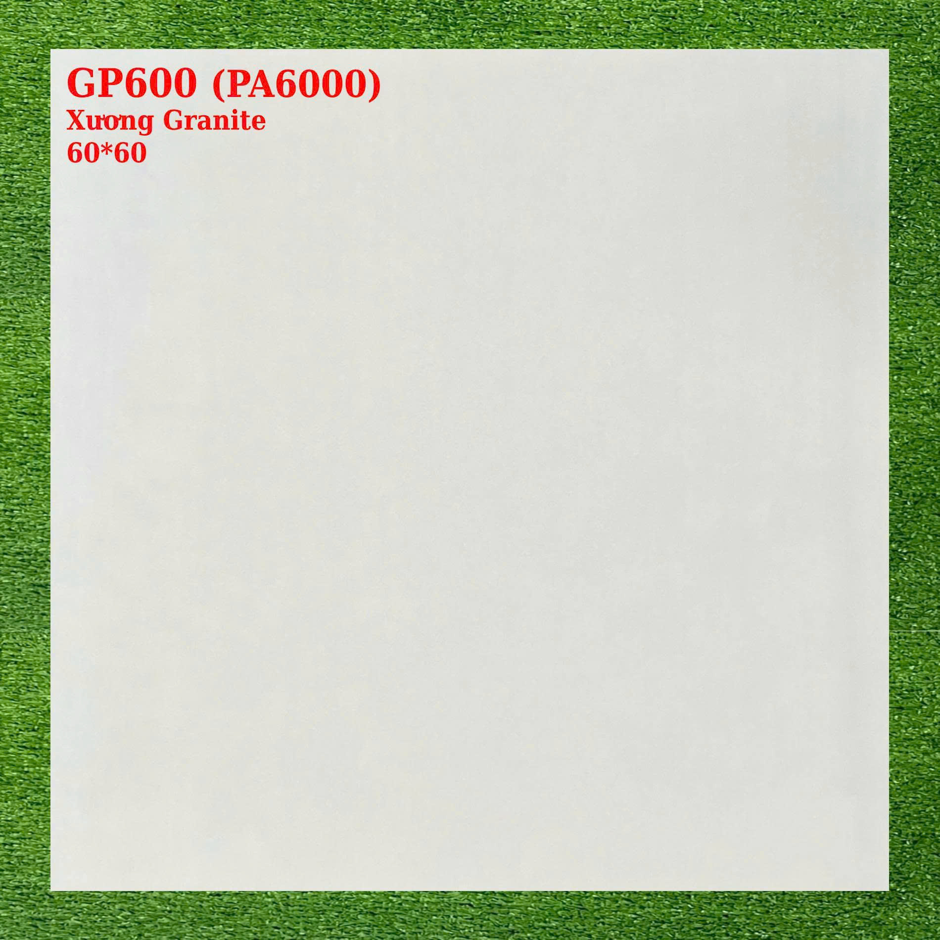 Gạch lát nền granite (600x600) Vigracera kem vàng TP- GP600