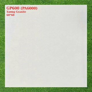 Gạch lát nền granite (600x600) Vigracera kem vàng TP- GP600