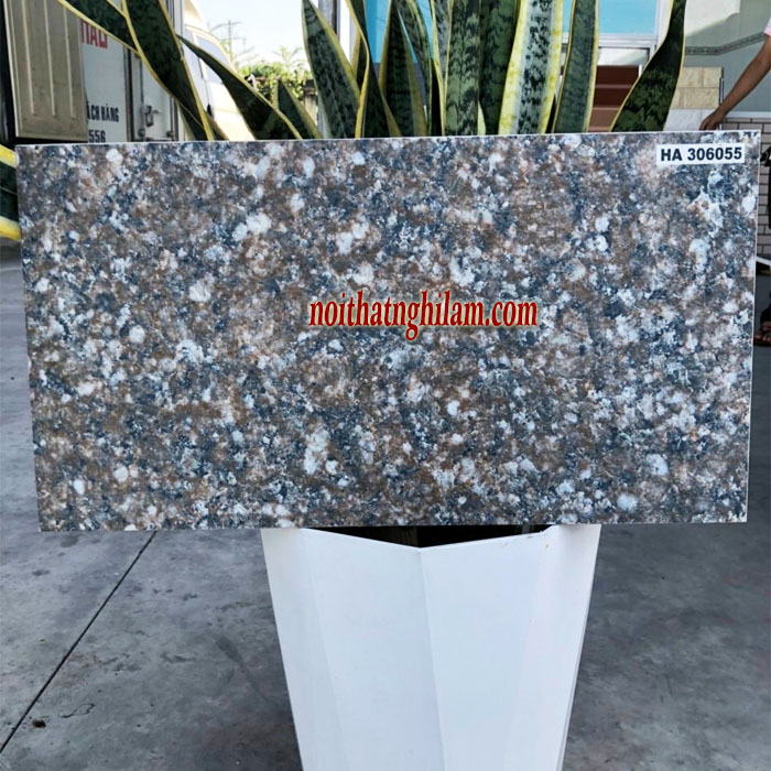 Gạch lát sân 30*60 Granite CP-HA306055