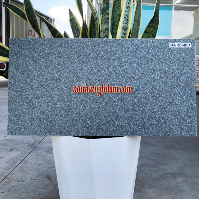 Gạch lát sân 30*60 Granite CP-HA306051