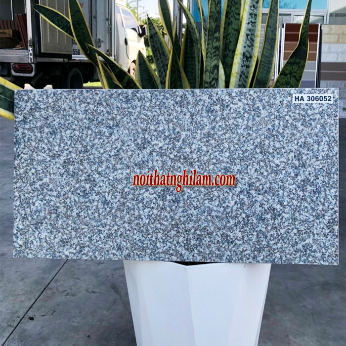 Gạch lát sân 30*60 Granite CP-HA306052