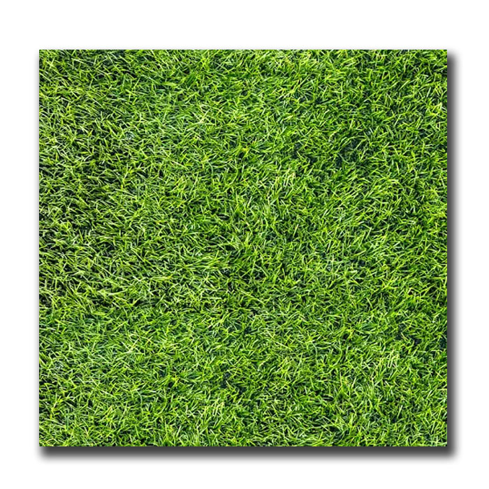 Gạch cỏ lát sân Đồng Tâm 4040 Greenery002