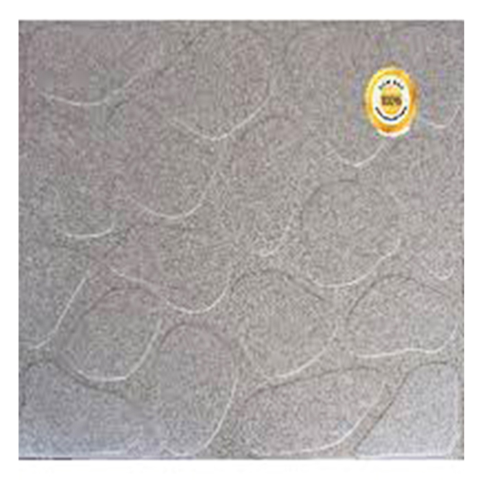 Gạch lát sân đá Granite TP-GS204